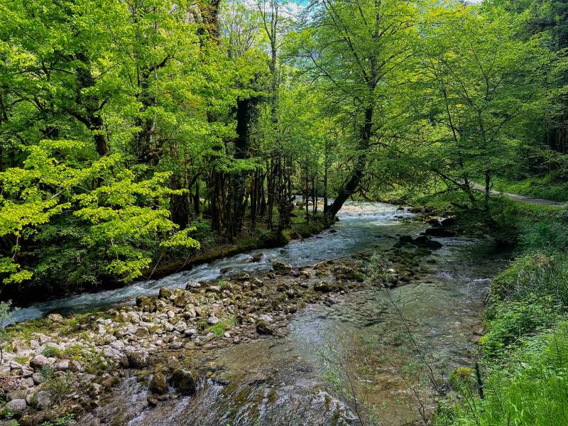 La rivière le Cholet à Saint-Laurent-en-Royans